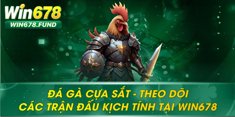 Đá Gà Cựa Sắt – Theo Dõi Các Trận Đấu Kịch Tính Tại WIN678